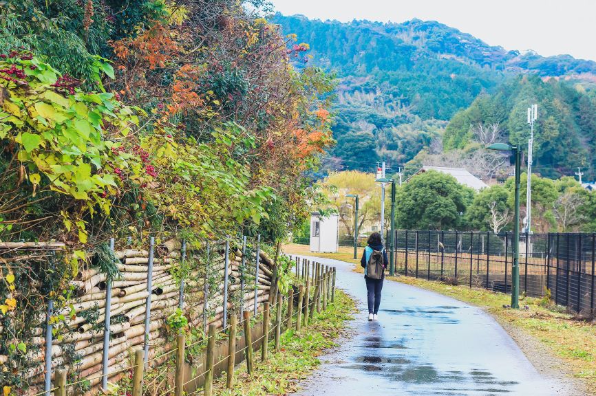 Nhat Ban dep mo mang thoi khac chuyen mua sang thu 2